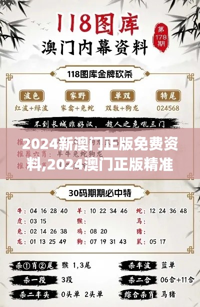 2024新澳门正版免费资料,2024澳门正版精准,创新思路现象解答解释_GTD8.45.62社区版