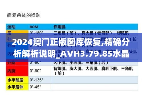 2024澳门正版图库恢复,精确分析解析说明_AVH3.79.85水晶版