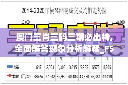 澳门三肖三码三期必出特,全面解答现象分析解释_FSZ9.53.30投资版