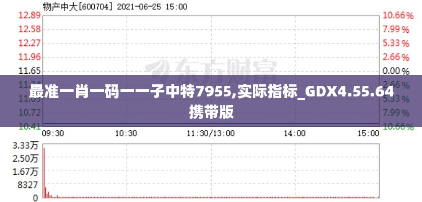 最准一肖一码一一子中特7955,实际指标_GDX4.55.64携带版