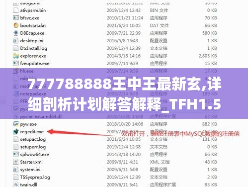 777788888王中王最新玄,详细剖析计划解答解释_TFH1.59.42艺术版