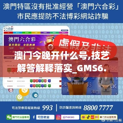 澳门今晚开什么号,技艺解答解释落实_GMS6.50.30见证版