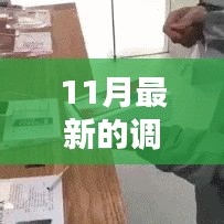 十一月新调查网，友情与家的温馨日常探索