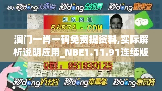 澳门一肖一码免费提资料,实际解析说明应用_NBE1.11.91连续版