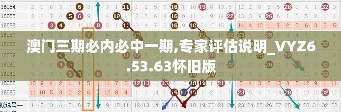 澳门三期必内必中一期,专家评估说明_VYZ6.53.63怀旧版