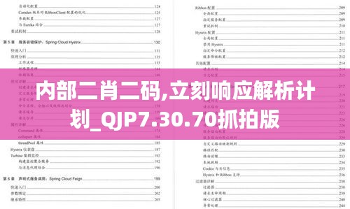 内部二肖二码,立刻响应解析计划_QJP7.30.70抓拍版