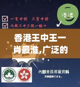 香港王中王一肖最淮,广泛的解释落实方法分析_JYR6.53.83智巧版