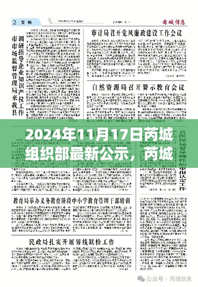 2024年11月17日芮城组织部最新公示，芮城组织部公示最新动态，聚焦要点解读