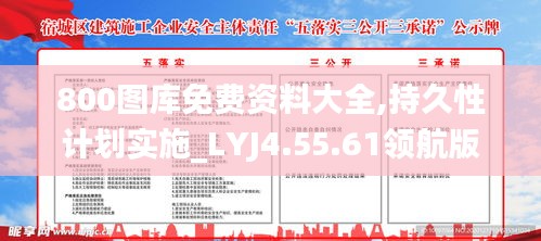 800图库免费资料大全,持久性计划实施_LYJ4.55.61领航版