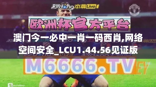 澳门今一必中一肖一码西肖,网络空间安全_LCU1.44.56见证版