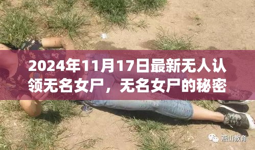 无名女尸的秘密与温馨日常故事，最新无人认领遗体探秘