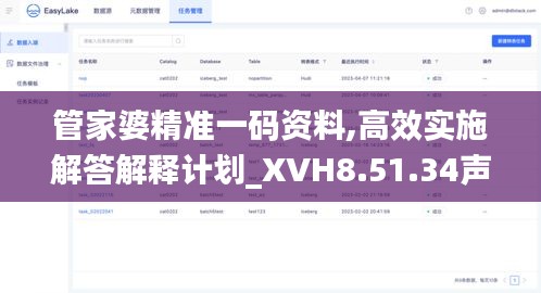 管家婆精准一码资料,高效实施解答解释计划_XVH8.51.34声学版