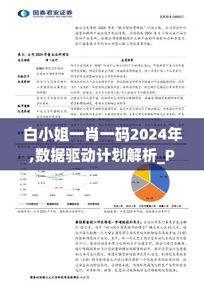 白小姐一肖一码2024年,数据驱动计划解析_PEJ4.56.29变革版