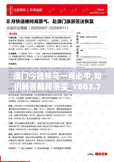 澳门今晚特马一肖必中,知识解答解释落实_YBG3.72.48交互版