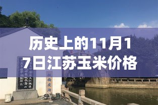 江苏玉米行情揭秘，历史价格回顾与小巷特色小店的探寻之旅