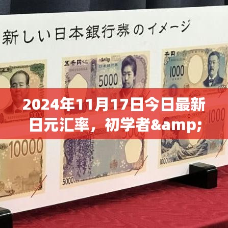 2024年11月日元汇率指南，初学者与进阶用户查询与理解步骤