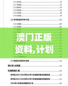 澳门正版资料,计划解答解释落实_ELM9.67.86炼髓境