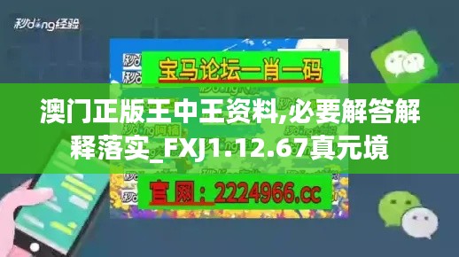 澳门正版王中王资料,必要解答解释落实_FXJ1.12.67真元境