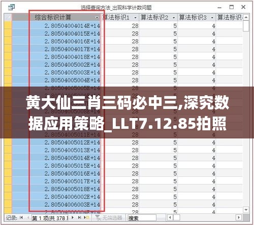 黄大仙三肖三码必中三,深究数据应用策略_LLT7.12.85拍照版