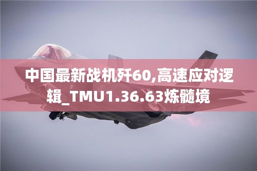 中国最新战机歼60,高速应对逻辑_TMU1.36.63炼髓境