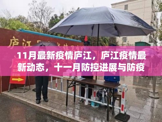 庐江疫情最新动态与防疫指南，十一月防控进展，小红书风格生活指南