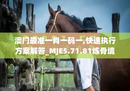 澳门最准一肖一码一,快速执行方案解答_MJE5.71.81炼骨境