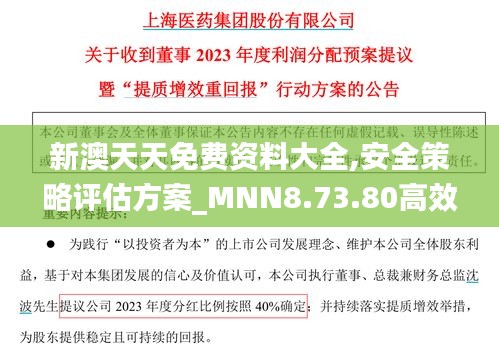 新澳天天免费资料大全,安全策略评估方案_MNN8.73.80高效版