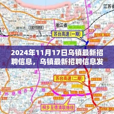 2024年11月17日 第20页