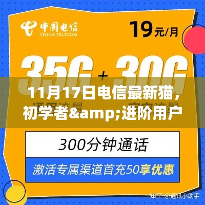 11月17日电信最新猫使用指南，适合初学者与进阶用户