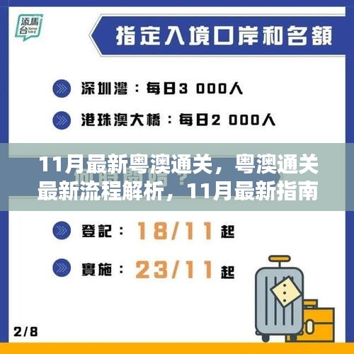 粤澳通关最新解析，11月指南助你轻松过关！