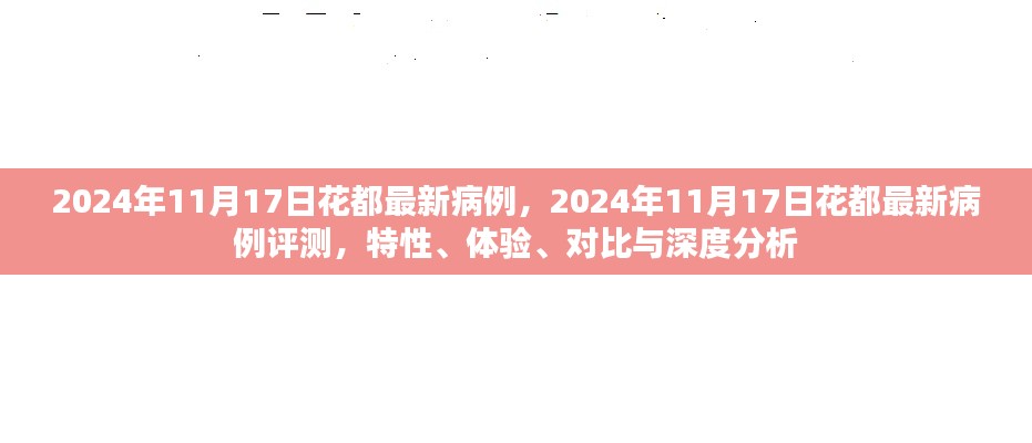 2024年11月17日花都最新病例深度解析，特性、体验、对比与评测