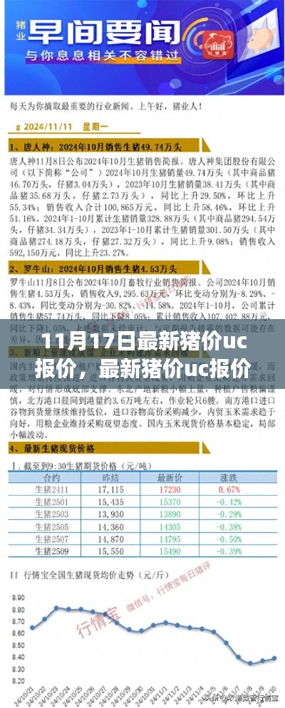 11月17日最新猪价uc报价，最新猪价uc报价分析——11月17日的行业洞察