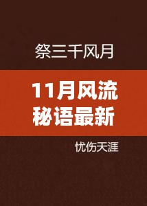 11月风流秘语最新章节，11月风流秘语最新章节，观点阐述与深度分析