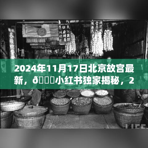 小红书独家揭秘，2024年11月17日北京故宫全新之旅，历史与现代的璀璨交融