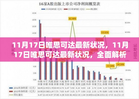 11月17日唯思可达最新动态，全面解析发展与影响