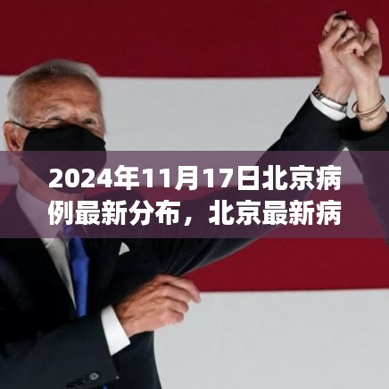 2024年11月17日北京病例最新分布，北京最新病例分布解析，聚焦要点，洞察疫情动态（2024年11月17日版）