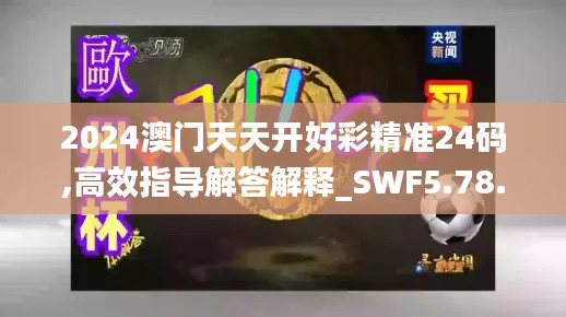 2024澳门天天开好彩精准24码,高效指导解答解释_SWF5.78.37职业版