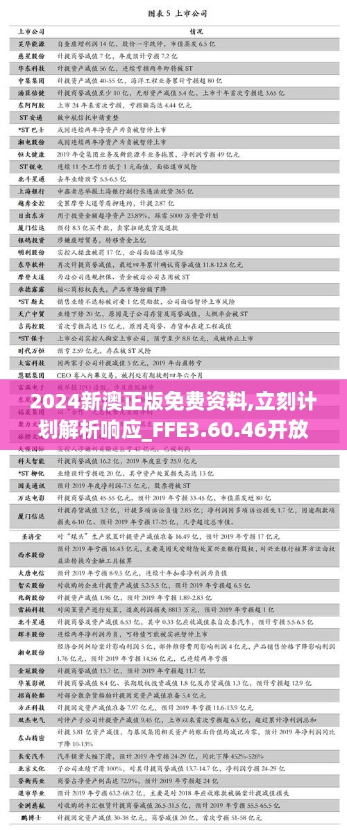 2024新澳正版免费资料,立刻计划解析响应_FFE3.60.46开放版