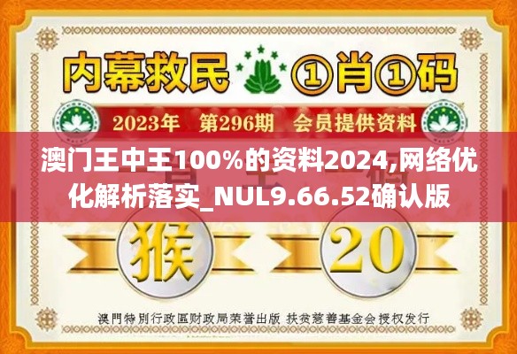 澳门王中王100%的资料2024,网络优化解析落实_NUL9.66.52确认版