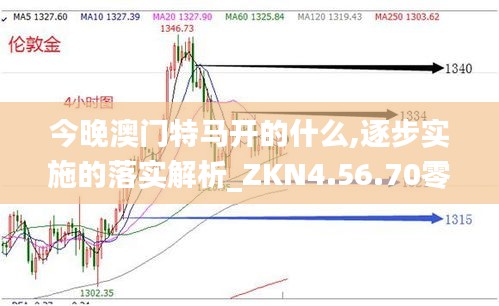 今晚澳门特马开的什么,逐步实施的落实解析_ZKN4.56.70零售版