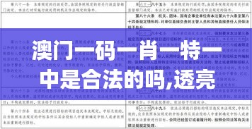 澳门一码一肖一特一中是合法的吗,透亮解答解释落实_FTO2.78.83兼容版