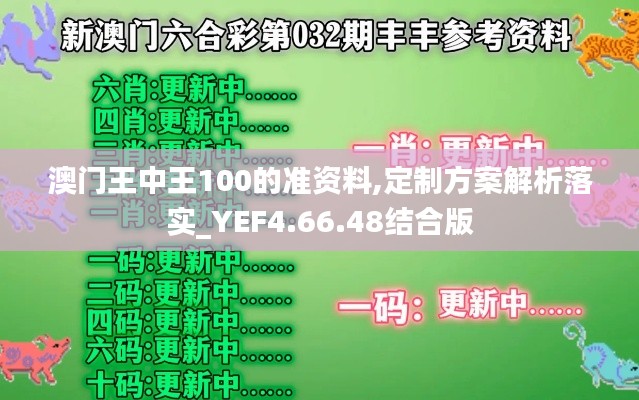 澳门王中王100的准资料,定制方案解析落实_YEF4.66.48结合版