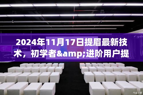 2024年提眉技术详解与操作指南，初学者到进阶用户的提眉新术