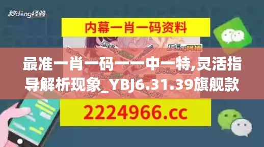 最准一肖一码一一中一特,灵活指导解析现象_YBJ6.31.39旗舰款