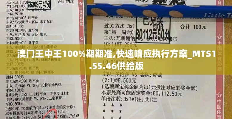 澳门王中王100%期期准,快速响应执行方案_MTS1.55.46供给版