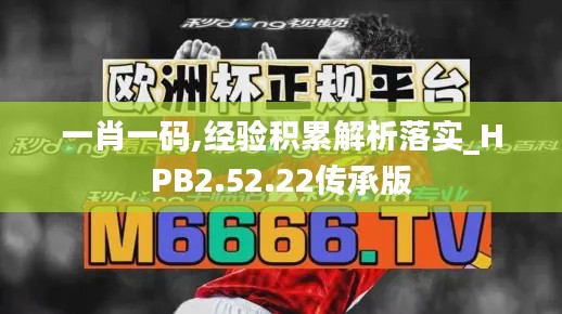 一肖一码,经验积累解析落实_HPB2.52.22传承版