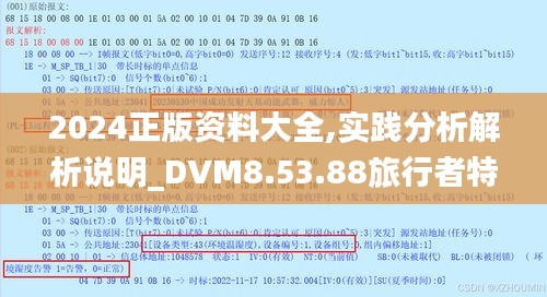 2024正版资料大全,实践分析解析说明_DVM8.53.88旅行者特别版