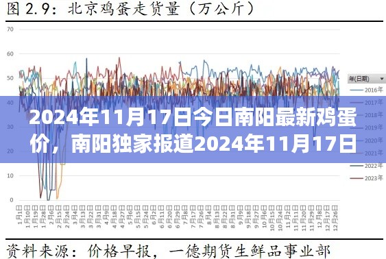 独家报道，南阳最新鸡蛋市场行情深度解析（2024年11月17日）