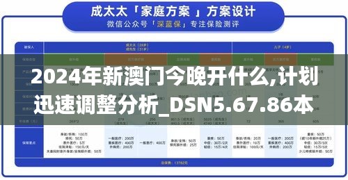 2024年新澳门今晚开什么,计划迅速调整分析_DSN5.67.86本地版