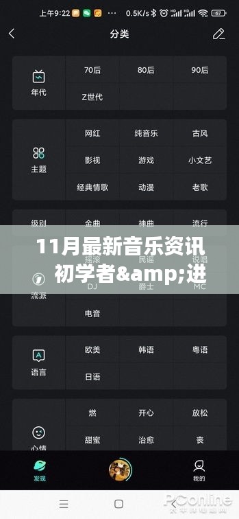 11月音乐资讯全攻略，初学者与进阶者的必备指南